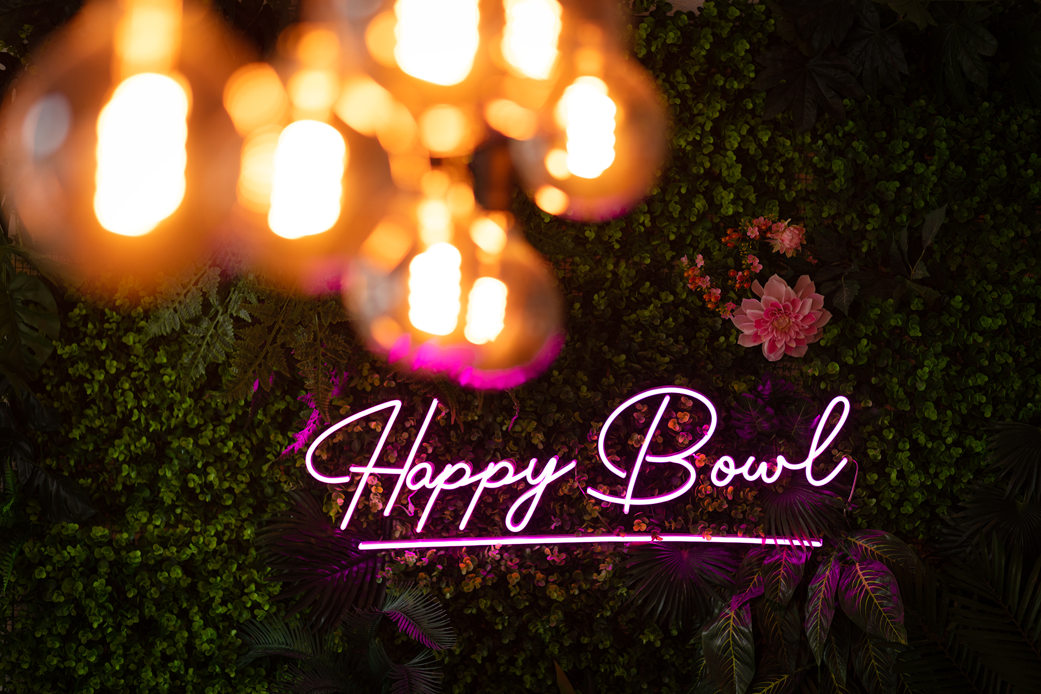 Pokebowl Healthy Food Dresden Interieur Neonlicht Reklame Pflanzen